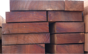 Cách nhận biết gỗ Lim Nam Phi và Lim Lào